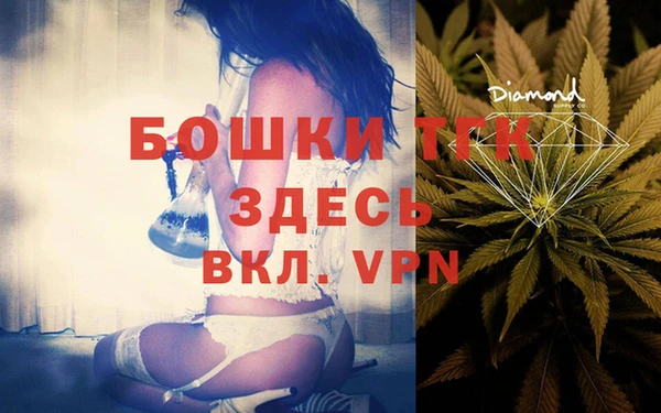 сатива Алексеевка