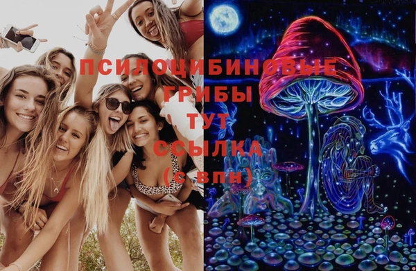герыч Новозыбков